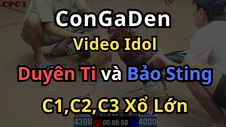 Duyên Ti vs Bảo Sting Những Lần Chạm Trán Chấn Động Thomo